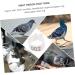 Angoily 300 Pcs Pigeon Anklet Duck Where Clip Chicken Ankle Ring Pigeons Ring Bands Parrot Label Tape Baby 1.3X1.3CMx3pcs Whitex3pcs - Buy Online on SooperMarket.com