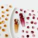 50Pcs 3D Flower Nail Multi Colors Variety Mix Camellia Flower Cute Nail Art For Manicure DIY Craft Jewelry 3d Nail For Acrylic Nails - Buy Online on SooperMarket.com
