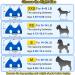 Buy Ovtexzog Dog Care Hammock Dishes - Claw Cutting Aid for Small Dogs (Up to 12kg) - Blue | International Shipping Available - Buy Online on SooperMarket.com