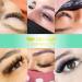 Easy Fan Lashes D-0.05-8-15 Eyelash Extensions C D curl Easy Fan Russian Lashes Self Fanning Lashes Automatic Blooming Lashes(D-0.05 8-15 mix) 8-15mix D-0.05 - Buy Online on SooperMarket.com