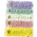 50pcs Natural Dried Daisy Flowers - Vacuum Packed for Decoration & Jewelry Making (5 Colors) - Buy Online on SooperMarket.com