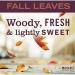 Shop MRS MEYER'S Fall Leaves Hand Soap - 12.5 OZ | International Shipping Available - Buy Online on SooperMarket.com