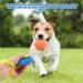 Dog Training Clickers Finger Loop 2 PCS Reinforces Positive Behaviour Train Clicker Aid Tool Professional Effective Trainer Tools Comfortable Grip Suitable for Dogs Puppies Cats Pets Black and Blue - Buy Online on SooperMarket.com