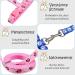 Adjustable Nylon Cat Leash Set - 2 Pieces with Lady Beetle Print & Soft Cat Dishes for Kittens Puppies & Rabbits - Pink & Blue - Buy Online on SooperMarket.com