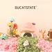 BUCATSTATE Hamster Paper Bedding 900g/2LBS - Dust-Free & Odor Control Litter for Small Pets & Birds - Buy Online on SooperMarket.com
