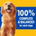 Pedigree Chopped Adult Wet Dog Food Chicken & Rice Dinner 375g (12 Pack) Chicken & Rice 375 g (Pack of 12) - Buy Online on SooperMarket.com