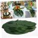 TOPBATHY Personalized Gifts 48pcs Household Decorative Items Personalised Gifts Green Medium - Buy Online on SooperMarket.com