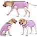 Heywean Dog Recovery Suit XXL - Post-Op Castration Wound Protection & Medical Shirt | Pink Dog Surgery Bodysuit for Pet Comfort - Buy Online on SooperMarket.com