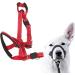 Dog Handlebar Halter with Seat Belt - XL Red Pet Harness Prevents Pulling on Outdoor Walks - Buy Online on SooperMarket.com