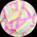 Rainbow Strips Zing Gummy Fizzy Belts - Strawberry, Apple, Lemon & Tropical - 260g (2 x 130g Share Bags) - Buy Online on SooperMarket.com