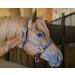 Derby Originals Coventry Triple Stitch Leather Halter - Full/Average Sizes - Buy Online on SooperMarket.com