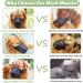 Adjustable Soft Dog Muzzle - Ideal for Small Medium & Large Dogs | Prevent Biting Licking Chewing | Perfect Fit for Snouts 9 -10 | International Shipping - Buy Online on SooperMarket.com