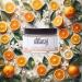 The Natural Deodorant Co Clean Deodorant Balm Orange & Bergamot 55g Aluminium Free Plastic Free All Day Protection - Buy Online on SooperMarket.com