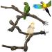 Allazon Natural Wood Bird Rods & Swing Toys - 4 Piece Parrot Playset for Birds - Ideal Bird Toys - Buy Online on SooperMarket.com