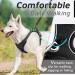 Eagloo Large Dog Harness - Adjustable No-Pull Chest Harness with Reflective Strips for Labrador - Anti-Train Control Black (1 Pack) - Buy Online on SooperMarket.com