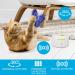 Interactive Cat Toy - All For Paws Flutter Bug Wand with Motion-Activated Butter-fly - Buy Online on SooperMarket.com