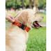 Joytale Tactical Dog Collar for Large Dogs | Durable Orange Dog Collar with Handle & QR Code Tag | Shop Now! - Buy Online on SooperMarket.com
