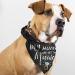 Dog Wedding Bandana Set for Engagement Photos - Pet Scarf Accessories for Dog Lovers - Bridal Shower Gift - Buy Online on SooperMarket.com