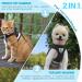 Buy Supet Cat Dishes & Soft Cat Vest with Leash for Kittens & Chihuahua - L Size Black - International Shipping Available - Buy Online on SooperMarket.com