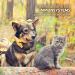 Aniforte Salmon Oil Capsules for Dogs & Cats - 500 Omega-3 Fish Oil & Vitamins for Healthy Metabolism Strong Bones & Shiny Fur - Buy Online on SooperMarket.com
