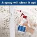 Mildew Spray Mildew Cleaner Foam Fast & Effective Spray & Mildew Cleaner Powerful Multi-Purpose Foam Cleaner Household Mould Remover Foam Spray (1pcs) - Buy Online on SooperMarket.com