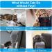 Osdue Cat Mint Toys - 3 Plush Fish Toys for Cats & Kittens | Dental Chew & Simulation Fish | International Shipping - Buy Online on SooperMarket.com
