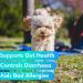 PupRepublic Fast Acting dog diarrhea treatment - Digestive Disorders - More Effective than Kaolin - Sickness & Allergy Relief for Dogs of All Breeds & Sizes 250 ml (Pack of 1) - Buy Online on SooperMarket.com