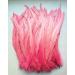 50pcs Pink Rooster Coque Tail Feathers 13-16 Inches - Hat Costume & Craft Decoration - Buy Online on SooperMarket.com