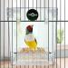 PINVNBY Acrylic Parrot Bath Box - No-Leakage Bathtub for Cage - Hanging Tube Shower Box - Water Injector Balls - Toys for Small Pet Birds - Transparent (6 Pcs) - Buy Online on SooperMarket.com