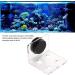 Buy Cikonielf Magnetic Coral Frag Rack - 4 Hole Transparent Acrylic Aquarium Coral Holder for International Shipping - Buy Online on SooperMarket.com