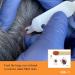 tick-off Patented Tick Tweezers Human Tick Remover with 2 Sizes Tick Hook & Ergonomic Handle Double-Sided for Dogs Cats Horses Clinically Tested Single Pack Blue - Buy Online on SooperMarket.com