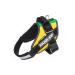 IDC Powerharness Size: M/0 Lithuanian Colors Lithuanian Colors M/0