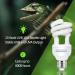 Caldarax 10.0 UVA UVB Bulb - 13W Compact Light for Desert Reptiles | E27 Tortoise Reptile Light for Lizard, Turtle, Snake, Chameleon, Bearded Dragon - Buy Online on SooperMarket.com