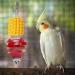 QBLEEV Stainless Steel Bird Food Holder - Parrot Fruit & Vegetable Stick Foraging Toy & Treat Skewer - Buy Online on SooperMarket.com