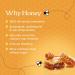 Honibe 100% Pure Honey Lozenges | Made in Canada | Mucus and Cough Relief | With Elderberry | 1 pack (10 lozenges) | Natural Berry - Buy Online on SooperMarket.com