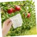 Kisangel 6 Pcs Square Apple Molds Vegetable Growth Mold Growing Fruit Mold Shaper Mould Cover Stereotypes - Buy Online on SooperMarket.com