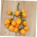 Ciieeo Simulated Small Tomatoes Models Fruit Photo Prop Faux Cherry Tomatoes Ornament Lifelike Fruit Fake Cherry Tomatoes for Decor Home Fruit Ornament Artificial Foam Fake Fruit Yellow 4.00X2.00X2.00CM - Buy Online on SooperMarket.com