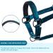 Nobleza Green Knotted Halter for Horses | Padded Nose & Neck | Perfect for Riding Training - International Shipping Available - Buy Online on SooperMarket.com