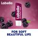 Labello BlackBerry Shine Lip Balm 4.8g - Hydrating Lip Care for Smooth, Luscious Lips - Buy Online on SooperMarket.com