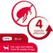 Beaphar Soft Flea Collar for Cats Kills Fleas For up to 4 Months Veterinary Medicine Adjustable With Safety Mechanism For Cats From 12 Weeks of Age 1 x Velvet Collar Colours May Vary - Buy Online on SooperMarket.com