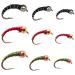 The Fly Crate Zebra Midge Fly Fishing Nymph Assortment for Trout 18 Variety Pack