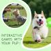 BOMPOW Puppy Teething Toys from 8 Weeks Interactive Dog Rope Toy Natural Cotton Dog Chew Toy 7 Packs  - Buy Online on SooperMarket.com