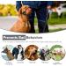 Weesiber Adjustable Dog Muzzle & Padded Halter - No Pulling Leash Solution for Medium Dogs (Black) - Buy Online on SooperMarket.com