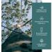 Plant of Life Essential Oil - 100% Pure and Natural - Therapeutic Grade Essential Oil with Dropper (Eucalyptus 2 oz (60mL)) - Buy Online on SooperMarket.com