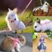 Adjustable Rabbit & Pet Harness Set - Blue & Pink Leash for Dogs Kittens Rabbits & Guinea Pigs | International Shipping - Buy Online on SooperMarket.com