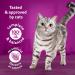 WHISKAS Adult Dry Cat Food - Beef Selections Flavour 9.1kg Bag - Buy Online on SooperMarket.com