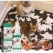 Anti Kau Spray for Dogs & Cats - 30ml | Effective Anti-Scratch Solution for Furniture Clothes & Shoes - Buy Online on SooperMarket.com