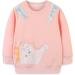 Girls Dinosaur Sweatshirt - Cotton Long Sleeve Pullover Top for Toddler Girls | Age 2-3 Years | Casual Jumper T-shirt for Kids - Buy Online on SooperMarket.com