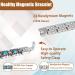 EnerCoppeX Magnetic Bracelets for Women Stainless Steel Bracelet with Effective Healing Magnets Adjustable Jewelry Gift (STB-2318) - Buy Online on SooperMarket.com