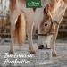 AniForte Bronchial Herbs for Horses 1kg - Natural Respiratory Support with Methylcysteine | Cough Relief & Healthy Airways - Buy Online on SooperMarket.com